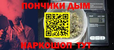 гидра Кингисепп