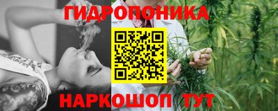 гидра Кингисепп