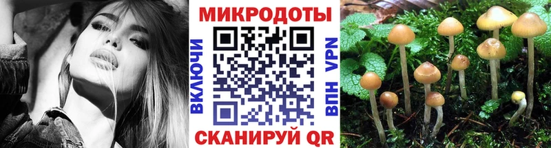 Псилоцибиновые грибы мухоморы  как найти   Лениногорск 