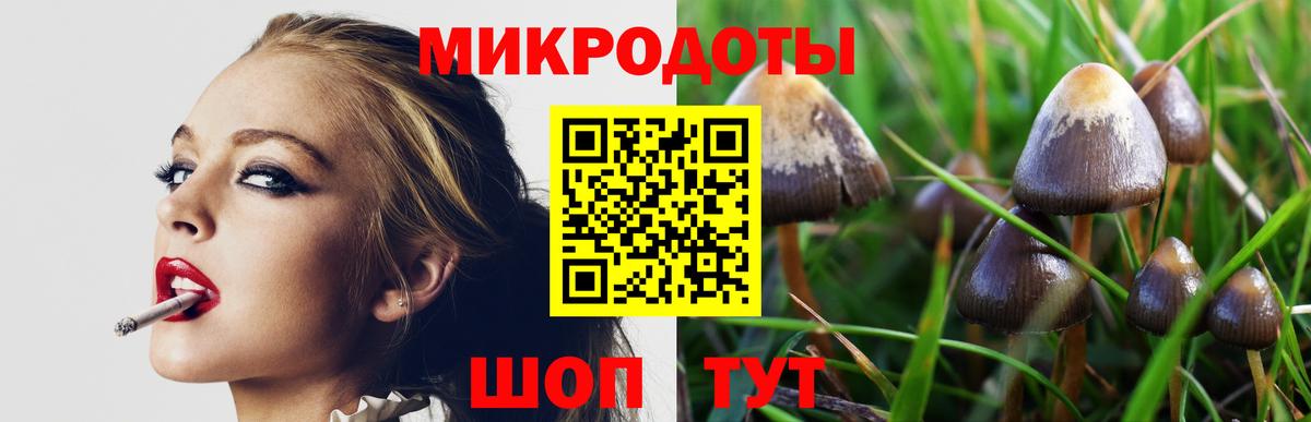 Псилоцибиновые грибы Psilocybine cubensis  Вход с VPN  Псилоцибиновые грибы ЛСД  Лениногорск 